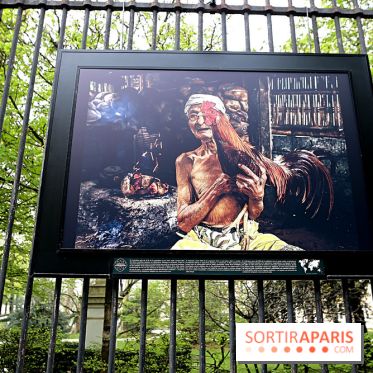 Fragilités & Résiliences, nos photos de l'expo dévoilée sur les grilles du Jardin du Luxembourg