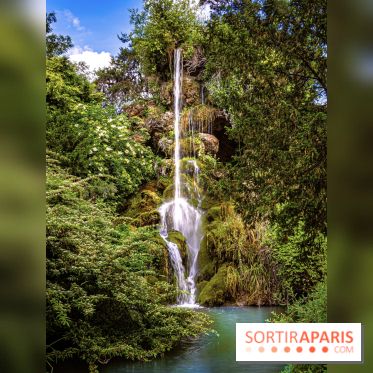 Le Parc de Bagatelle au printemps, cerisier, tulipes et jonquilles - photos - A7C00050 HDR