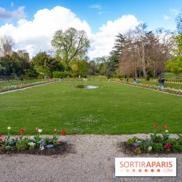 Le Parc de Bagatelle au printemps, cerisier, tulipes et jonquilles - photos - A7C00661
