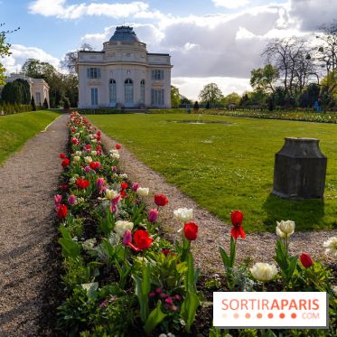 Le Parc de Bagatelle au printemps, cerisier, tulipes et jonquilles - photos