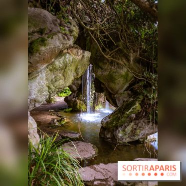 Le Parc de Bagatelle au printemps, cerisier, tulipes et jonquilles - photos - A7C00672