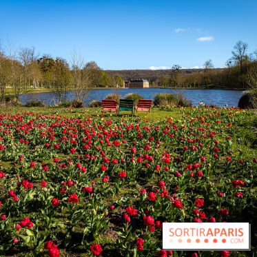 Les tulipes du Château de Dampierre, son jardin anglais et le jardin Le Nôtre