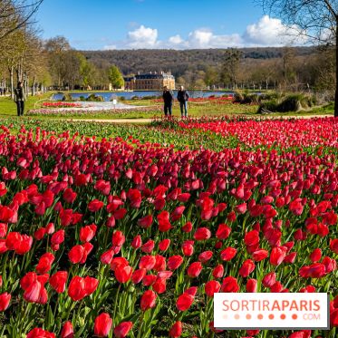 Les tulipes du Château de Dampierre, son jardin anglais et le jardin Le Nôtre