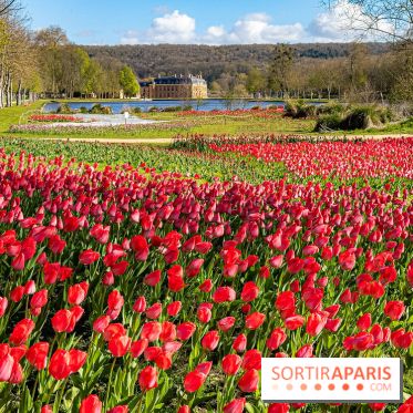 Les tulipes du Château de Dampierre, son jardin anglais et le jardin Le Nôtre