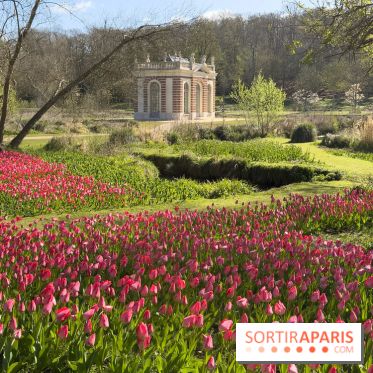 Les tulipes du Château de Dampierre, son jardin anglais et le jardin Le Nôtre