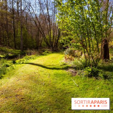Les tulipes du Château de Dampierre, son jardin anglais et le jardin Le Nôtre - IMG 2932