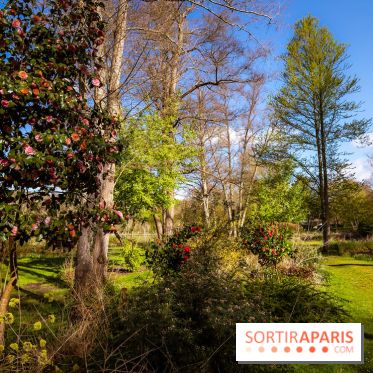 Les tulipes du Château de Dampierre, son jardin anglais et le jardin Le Nôtre