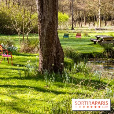 Les tulipes du Château de Dampierre, son jardin anglais et le jardin Le Nôtre - IMG 2938
