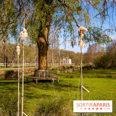 Les tulipes du Château de Dampierre, son jardin anglais et le jardin Le Nôtre - IMG 2950