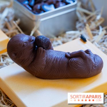 Pâques 2026, les chocolats artisanaux de Willliam Artigue à Paris - A7C09823