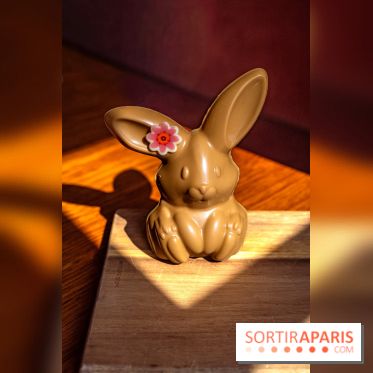 Les chocolats de Pâques 2026 de la chocolaterie-pâtisserie Jardin Sucré - photos - A7C09499