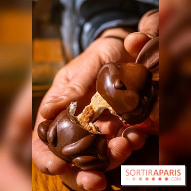 Les chocolats de Pâques 2026 de la chocolaterie-pâtisserie Jardin Sucré - photos - A7C09526