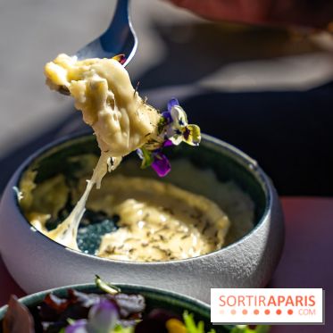 La Petite Marguerite, bouillon des puces de Saint-Ouen 93 - photos - camembert