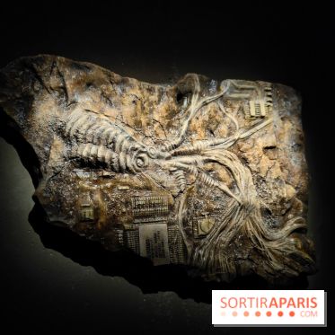 Les Extatiques souterrains : un parcours artistique introspectif sous la Grande arche de La Défense - fotor 1775122120427