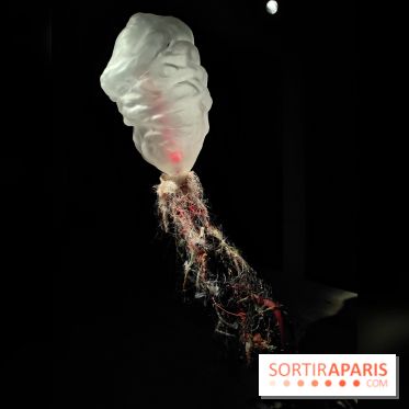 Les Extatiques souterrains : un parcours artistique introspectif sous la Grande arche de La Défense - fotor 1775122156649