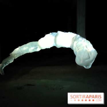 Les Extatiques souterrains : un parcours artistique introspectif sous la Grande arche de La Défense