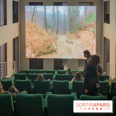 Expositions Diego Marcon et Ladji Diaby à Lafayette Anticipations - IMG 5538