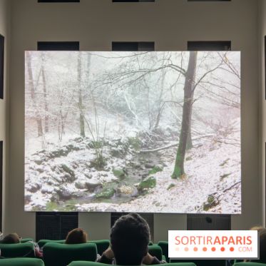 Expositions Diego Marcon et Ladji Diaby à Lafayette Anticipations - IMG 5552