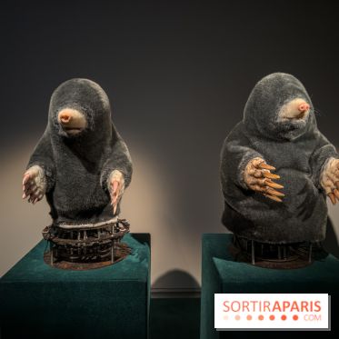 Expositions Diego Marcon et Ladji Diaby à Lafayette Anticipations - IMG 5572