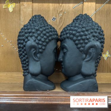 Expositions Diego Marcon et Ladji Diaby à Lafayette Anticipations - IMG 5644