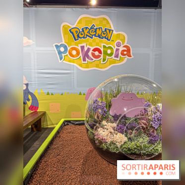 Pokémon Pokopia : un espace détente gratuit pour vous immerger dans le jeu aux Ateliers Gaîté - IMG 5791