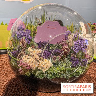 Pokémon Pokopia : un espace détente gratuit pour vous immerger dans le jeu aux Ateliers Gaîté - IMG 5792