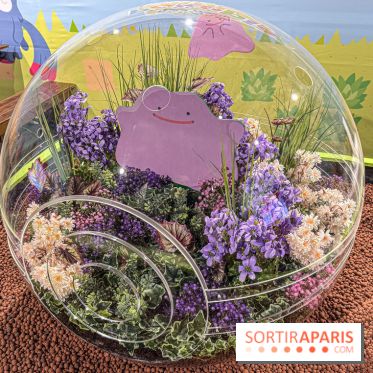 Pokémon Pokopia : un espace détente gratuit pour vous immerger dans le jeu aux Ateliers Gaîté
