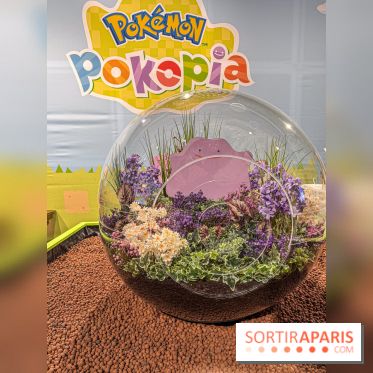 Pokémon Pokopia : un espace détente gratuit pour vous immerger dans le jeu aux Ateliers Gaîté - IMG 5808