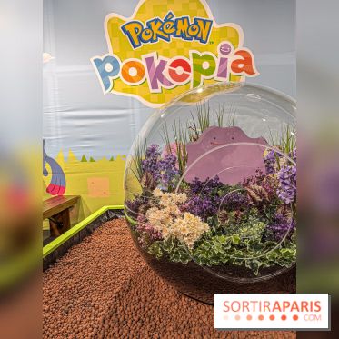 Pokémon Pokopia : un espace détente gratuit pour vous immerger dans le jeu aux Ateliers Gaîté - IMG 5809