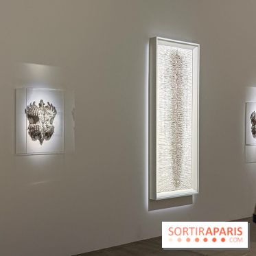 Cathy de Monchaux au Palais de Tokyo : la rétrospective à voir à Paris