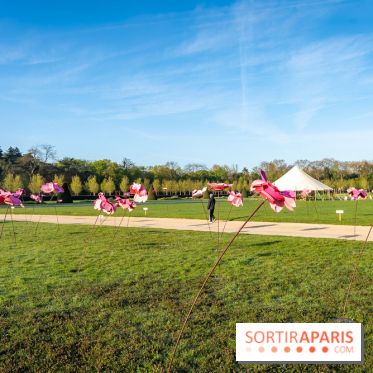 Hanami au Parc de Sceaux 2026, les cerisiers en fleurs et ses  animations