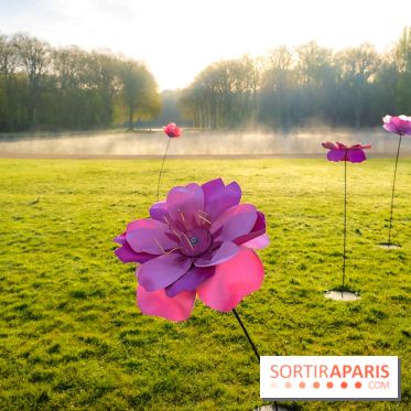 Hanami au Parc de Sceaux 2026, les cerisiers en fleurs et ses  animations - A7C01368