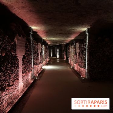 Les Catacombes de Paris 2026 - IMG 3677