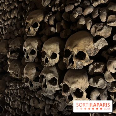 Les Catacombes de Paris 2026 - IMG 3685