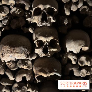 Les Catacombes de Paris 2026 - IMG 3686