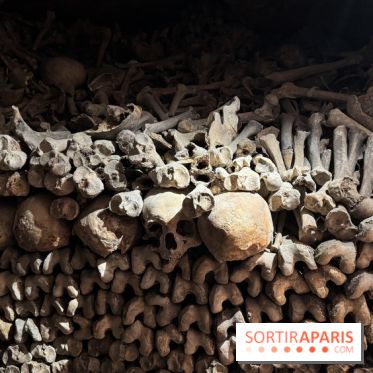 Les Catacombes de Paris 2026 - IMG 3691