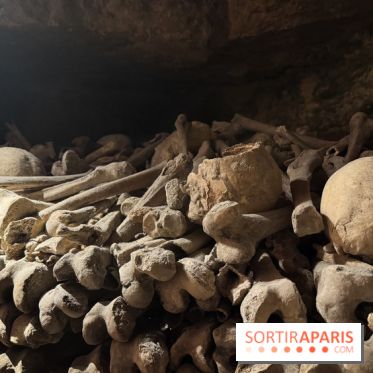 Les Catacombes de Paris 2026 - IMG 3692