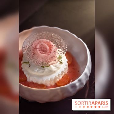 Rivages restaurent de la mer du Scribe Opéra Paris 9e, les photos - rhubarbe