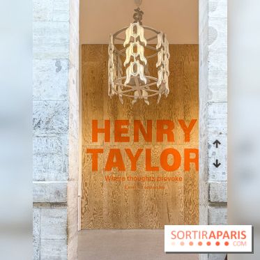 Exposition Henry Taylor au Musée Picasso - IMG 6004