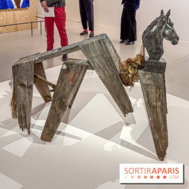 Exposition Henry Taylor au Musée Picasso - IMG 6008