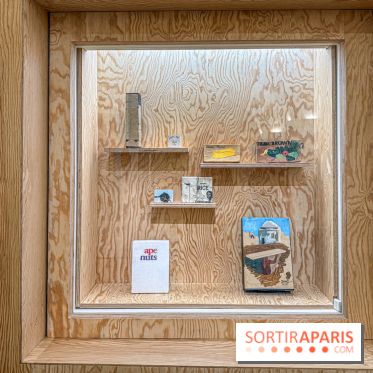 Exposition Henry Taylor au Musée Picasso - IMG 6052