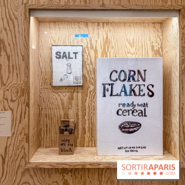 Exposition Henry Taylor au Musée Picasso - IMG 6053