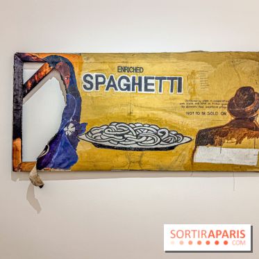 Exposition Henry Taylor au Musée Picasso - IMG 6054