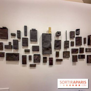 Exposition Henry Taylor au Musée Picasso - IMG 6070