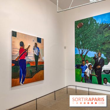 Exposition Henry Taylor au Musée Picasso - IMG 6108