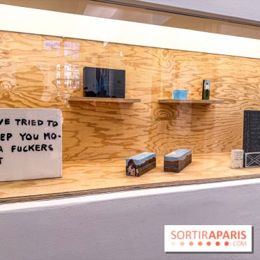 Exposition Henry Taylor au Musée Picasso - IMG 6131