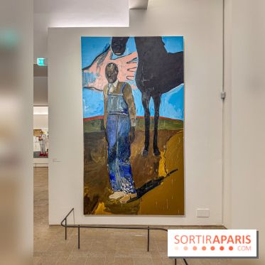 Exposition Henry Taylor au Musée Picasso - IMG 6141