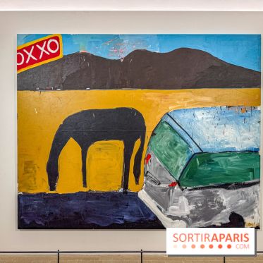 Exposition Henry Taylor au Musée Picasso - IMG 6144