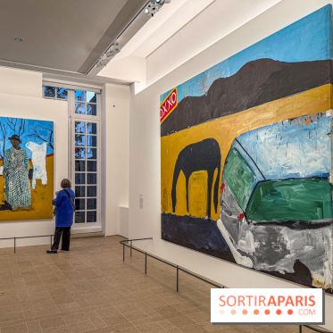 Exposition Henry Taylor au Musée Picasso - IMG 6147