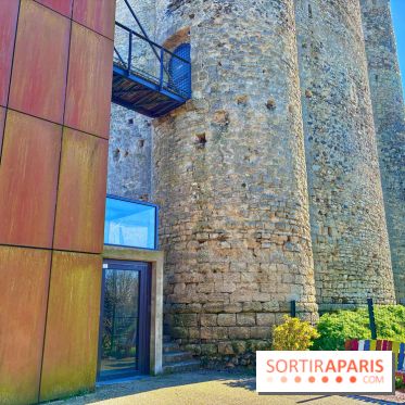 Donjon de Houdan - IMG 4853